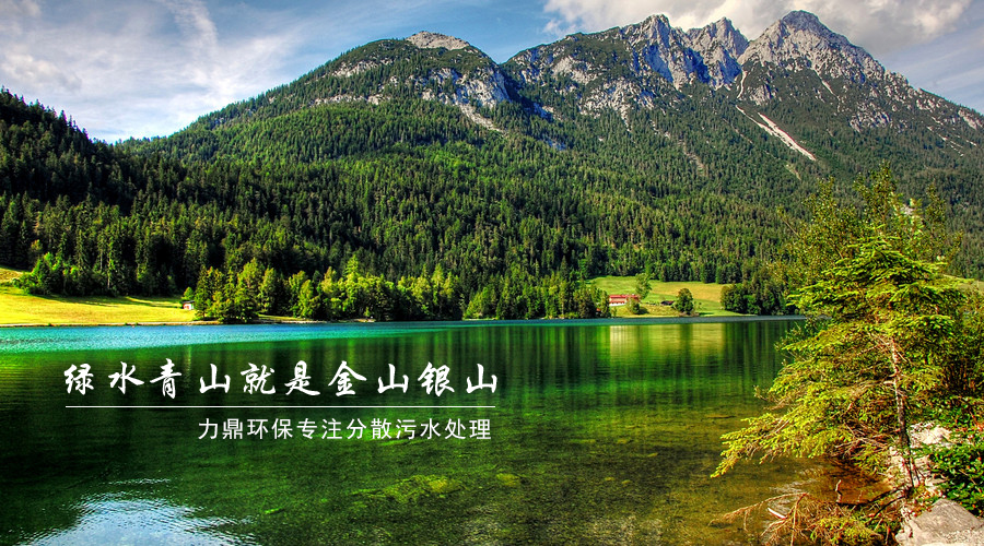 分散污水處理專(zhuān)家