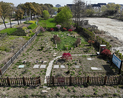 某養(yǎng)老公寓生活污水處理項(xiàng)目 某養(yǎng)老公寓生活污水處理項(xiàng)目