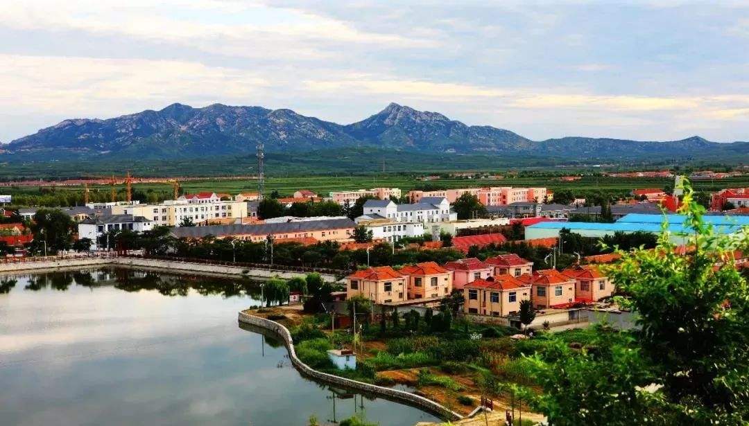 青島市“十四五”生態(tài)環(huán)境保護(hù)規(guī)劃了哪些農(nóng)村人居環(huán)境治理任務(wù)？