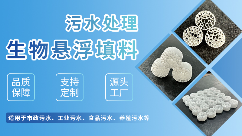MBBR多孔流化床生物填料 MBBR多孔流化床生物填料