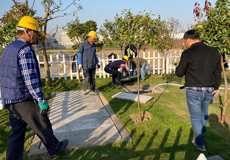 盱眙農(nóng)村生活污水治理工程案例 盱眙農(nóng)村生活污水治理工程案例